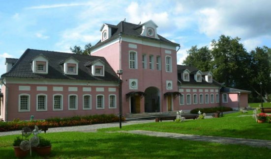 Цементно-песчаная черепица BRAAS Франкфуртская