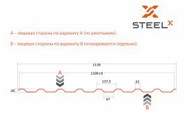 Профнастил C20 SteelX TIAR50