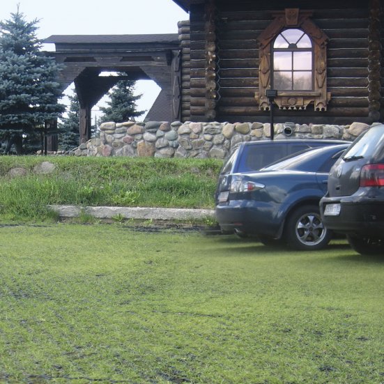 Газонная решетка Gidrolica Eco Standart пластиковая
